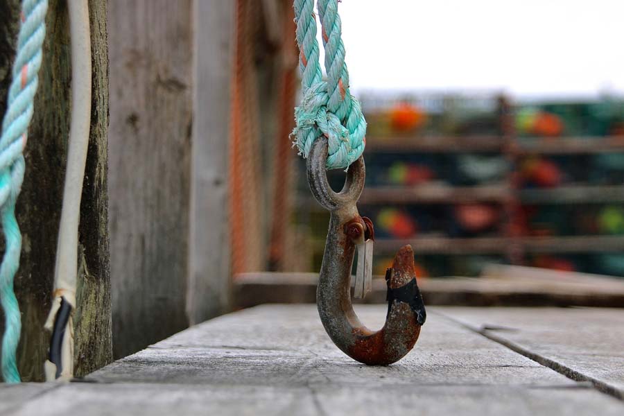 WordPress hooks update